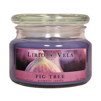      (Fig Tree Lirio Vela), 225 